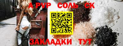 индика Камышлов