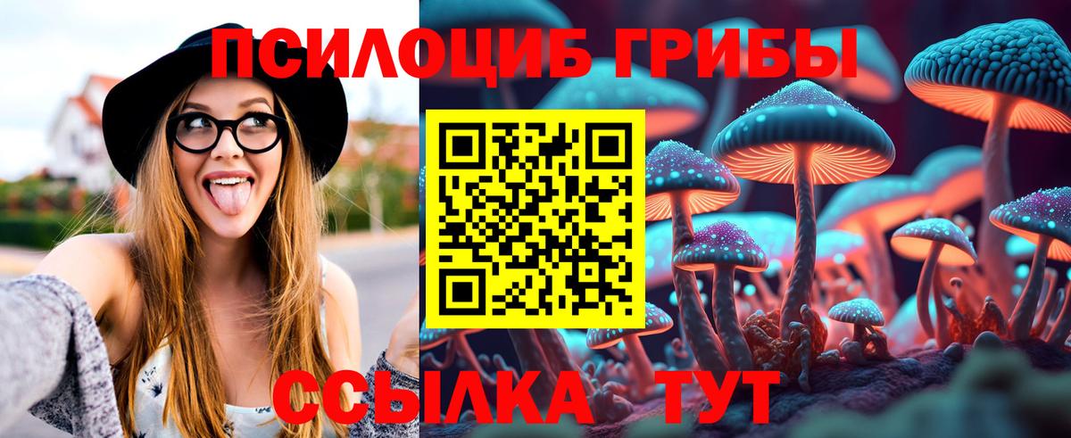 Фролово  Галлюциногенные грибы Psilocybe  Вход с VPN 